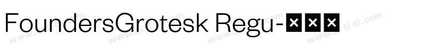 FoundersGrotesk Regu字体转换